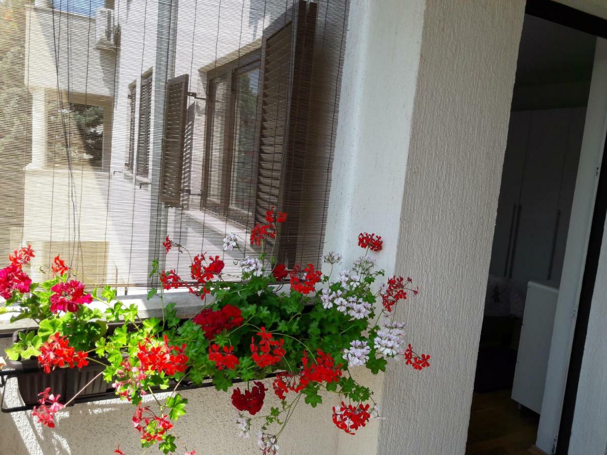 PUY Apartments Ruzica מראה חיצוני תמונה