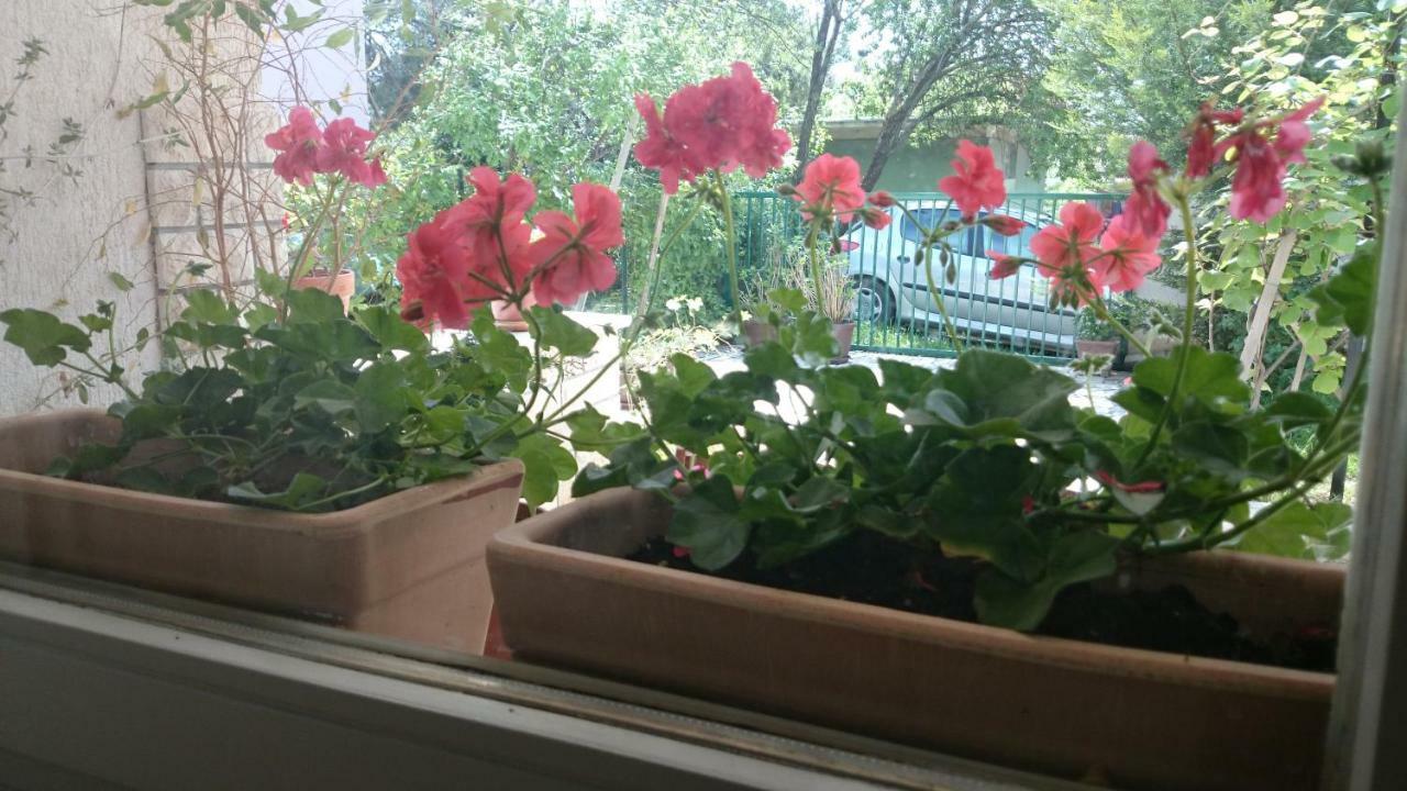 PUY Apartments Ruzica מראה חיצוני תמונה